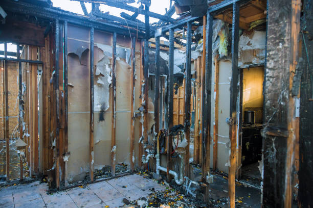 Professional Soot Cleanup technician working in Argos, IN